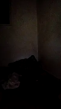 trans511 webcam