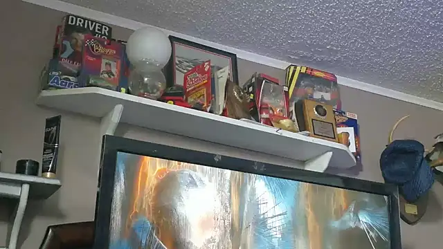 PNPSPUN1 webcam