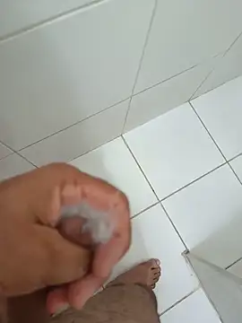 Fpnunes webcam