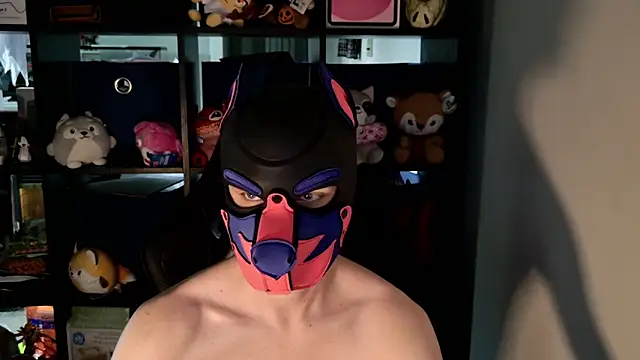 MellPUP webcam
