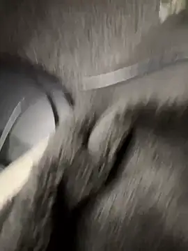 tinyweepixie webcam