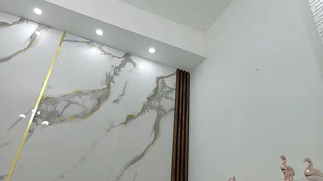 Enzo_03 webcam
