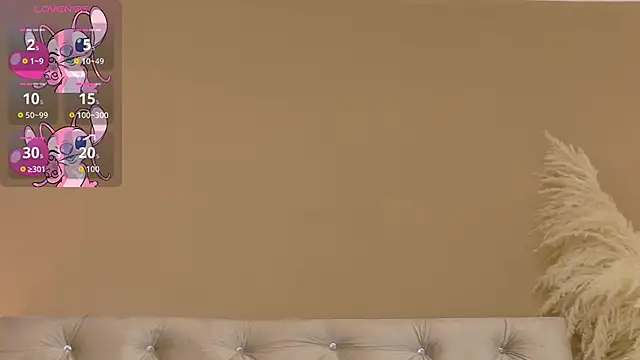 Kailaross webcam