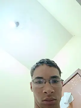 Yuripauzao20cm webcam