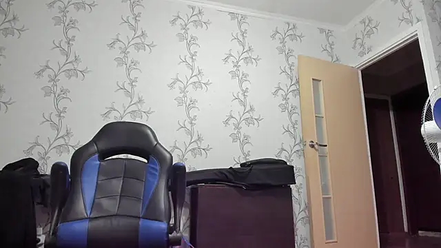SanFrantsisko webcam
