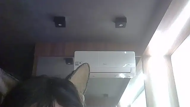 SkinnyKitten webcam