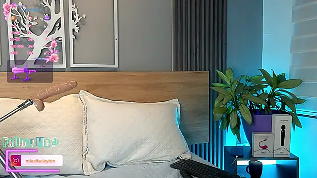 Elise-Leyton webcam