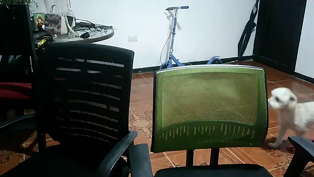 MiaRobertz_ webcam