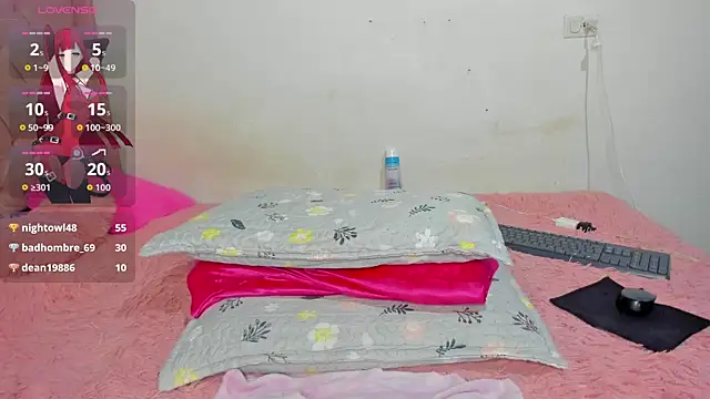 solpeich webcam
