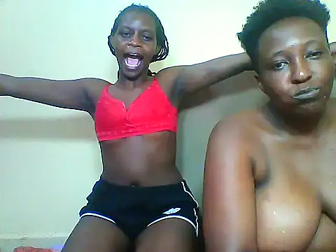 SoftSaphire webcam