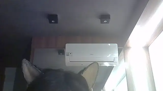 SkinnyKitten webcam