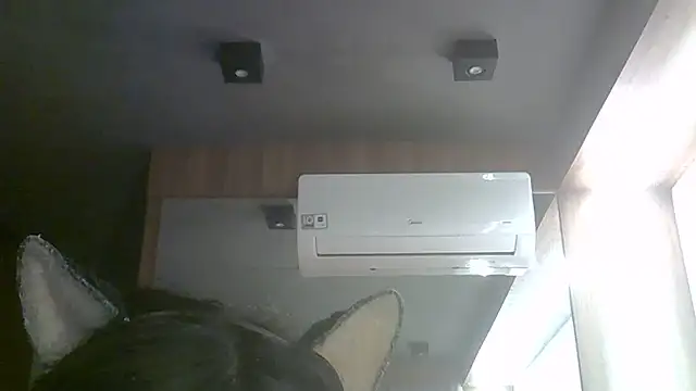 SkinnyKitten webcam