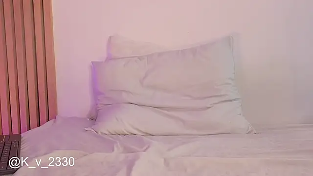 sofiesoft webcam