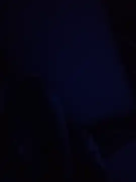 starnighcouple webcam