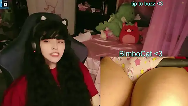 BimboCat webcam