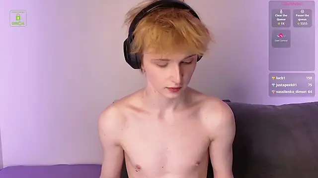 Your_avatar webcam