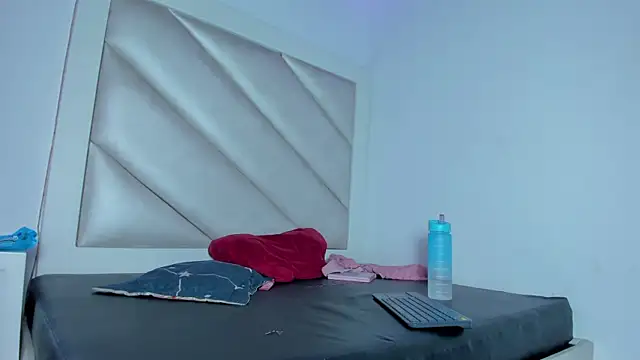 Valentina_js webcam