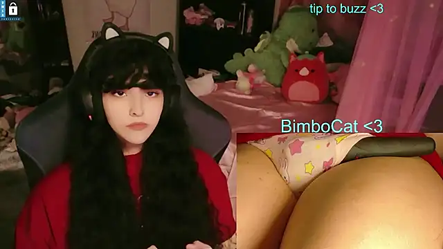BimboCat webcam