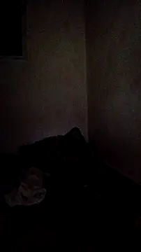 trans511 webcam