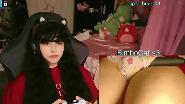 BimboCat webcam