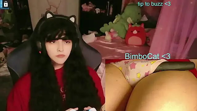 BimboCat webcam