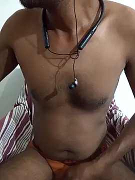 SL-Robinsan webcam