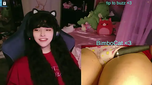 BimboCat webcam