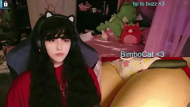 Watch BimboCat live on EroticFlix - High definition streams
