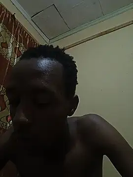 Nitram2290 webcam