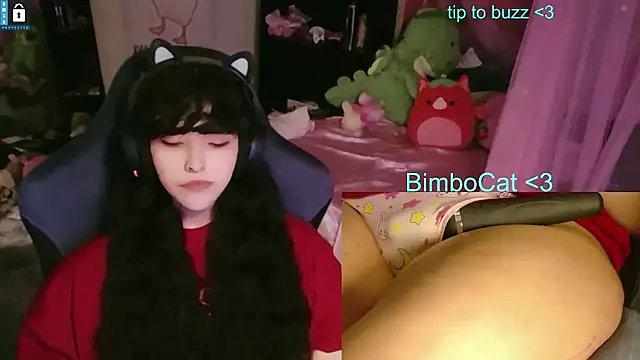 BimboCat webcam