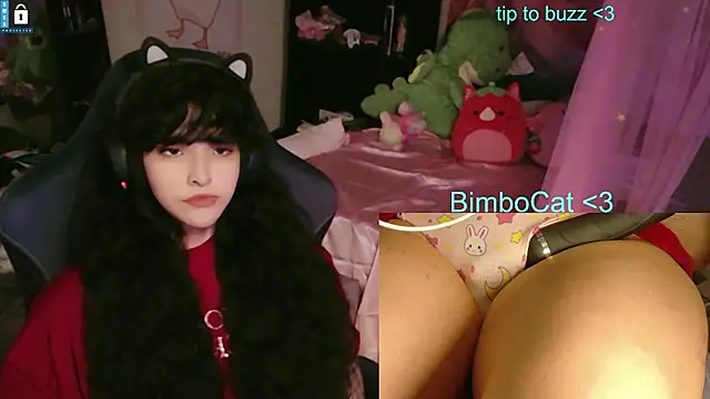 BimboCat webcam