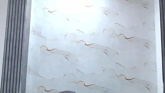 Liaa_cams webcam