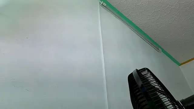 alissonandamy webcam