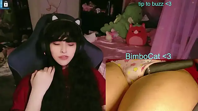 BimboCat webcam