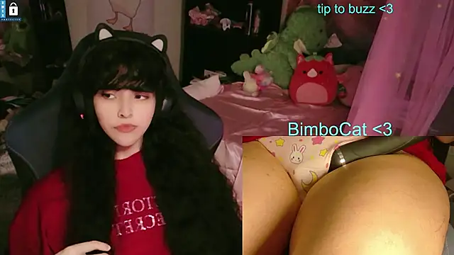 BimboCat webcam