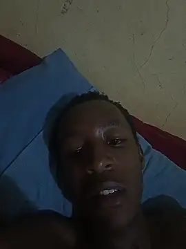 Nitram2290 webcam