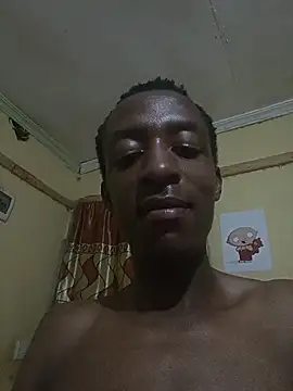 Nitram2290 webcam