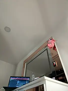 jailyncam_ webcam