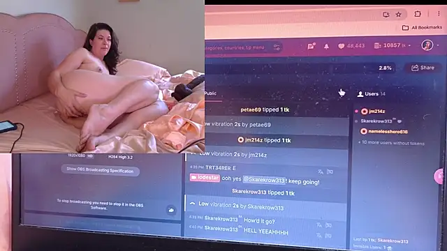 lodestar webcam