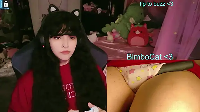 BimboCat webcam