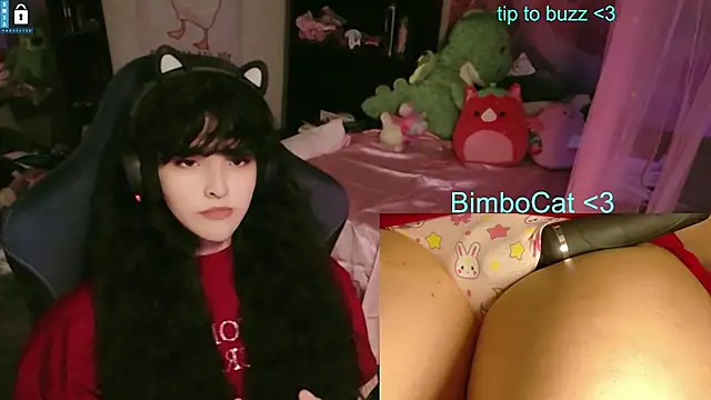 bimbocat's live room