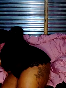 LovelyL2 webcam
