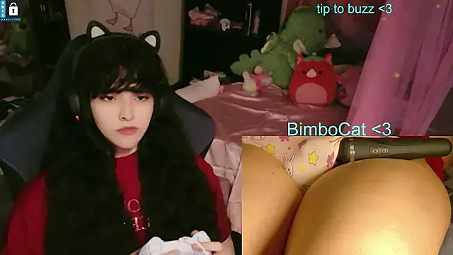 BimboCat webcam