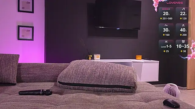 lyv_ty webcam