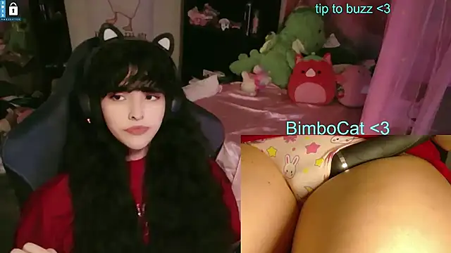 BimboCat webcam