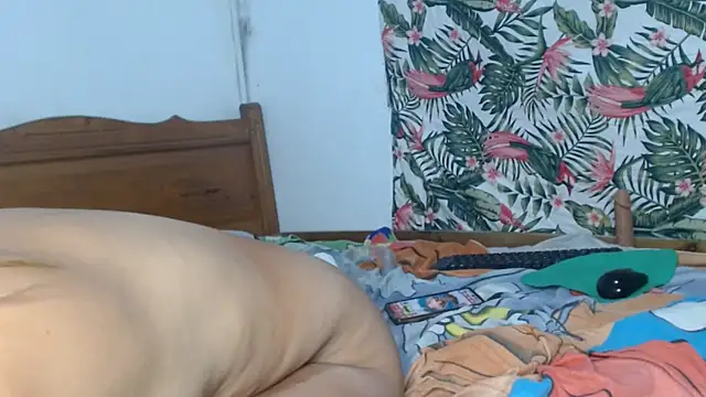 smallalyross webcam