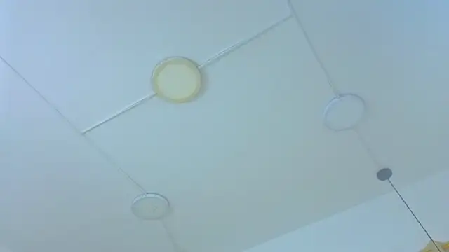 scarlettjohnson_ webcam