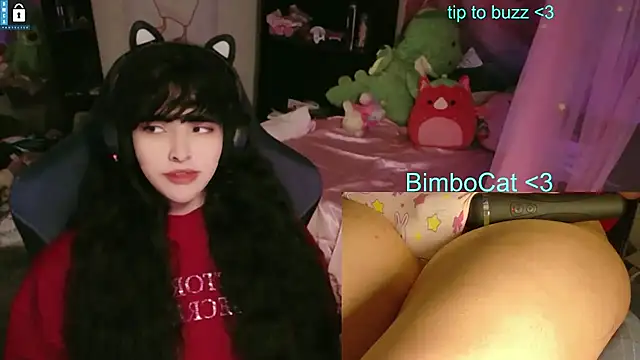 BimboCat webcam