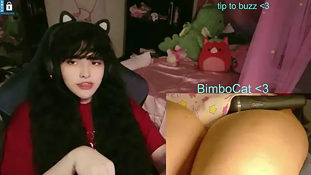 BimboCat webcam