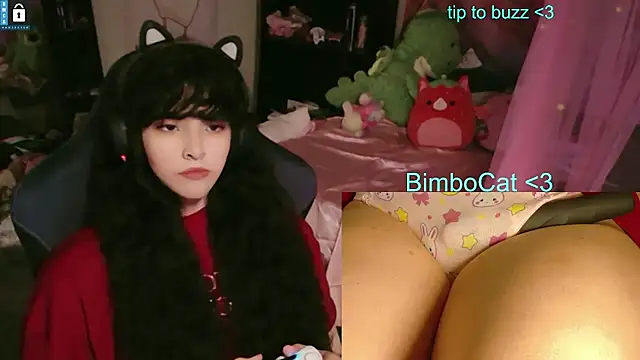 BimboCat webcam